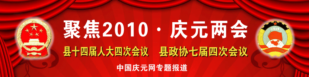 ۽2010cԪɕ
